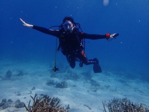P7020066 (640x480)