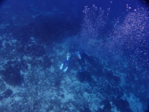 PA103066 (640x480)