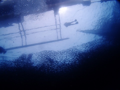 P6183173 (640x480)