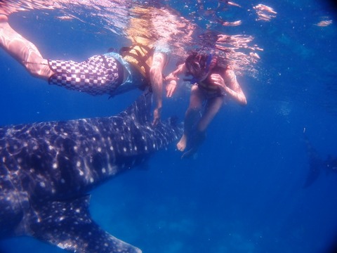 P1011526 (640x480)