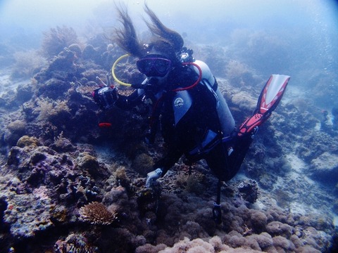 P1042560 (640x480)
