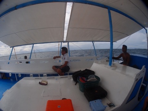 PA167376 (640x480)