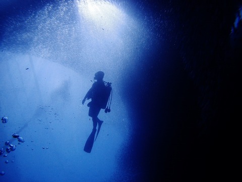 P1123061 (640x480)