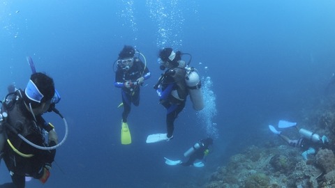 P8121382 (640x360)