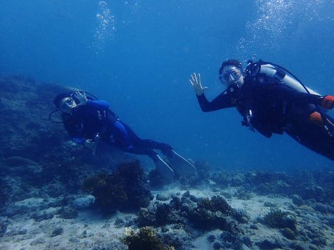 P7020007 (640x480)