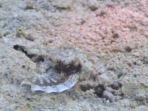 IMG_9709 (640x480)