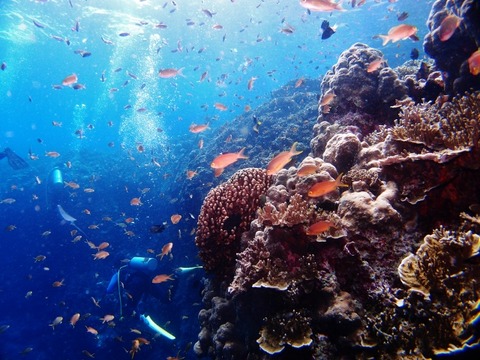 P1013560 (640x480)