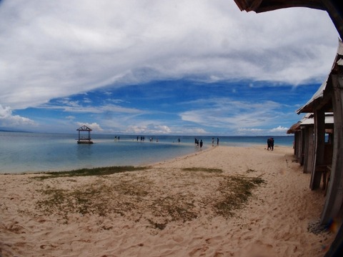 P1011976 (640x480)