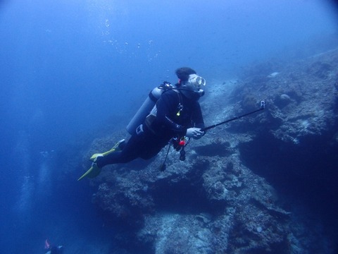 P1027528 (640x480)