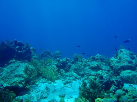 P1010199 (640x480)