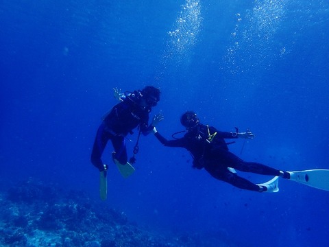 P5200096 (640x480)
