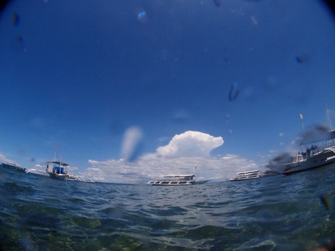 P5192641 (640x480)