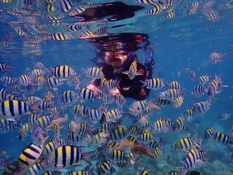 P9230019 (640x480)