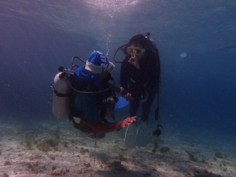 P2262515 (640x480)
