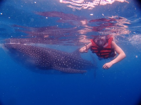 P3128878 (640x480)