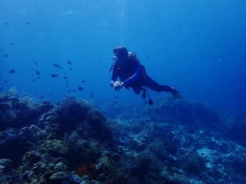 P9051928 (640x480)