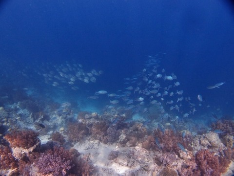 P2107842 (640x480)