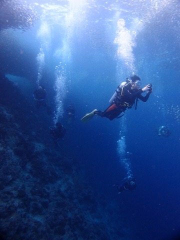 P3172316 (480x640)