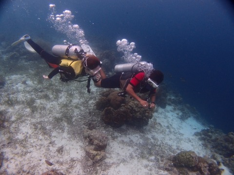 PC250032 (640x480)