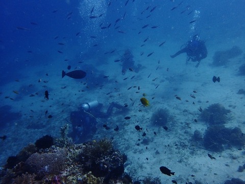 PB260147 (640x480)