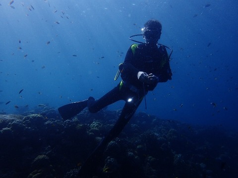 PC280091 (640x480)