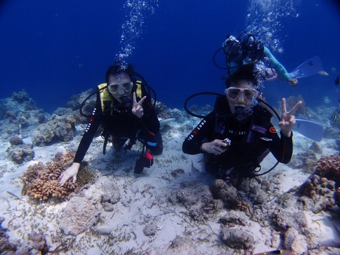 P8044042 (640x480)