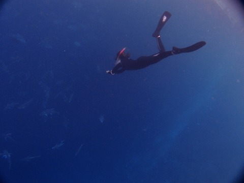 P1014650 (640x480)