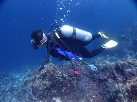 P8285457 (640x480)
