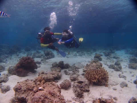 P9256532 (640x480)