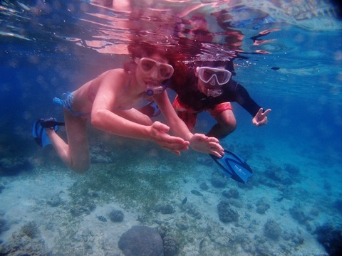 P1011895 (640x480)