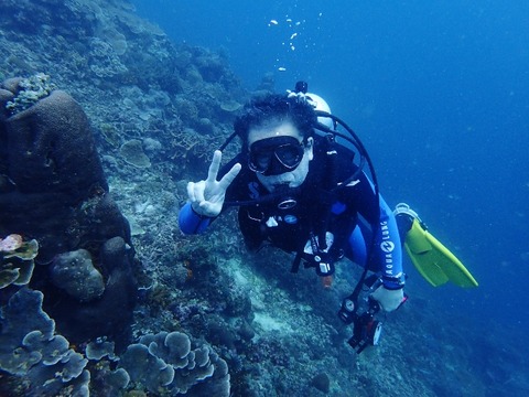 P1260075 (640x480)