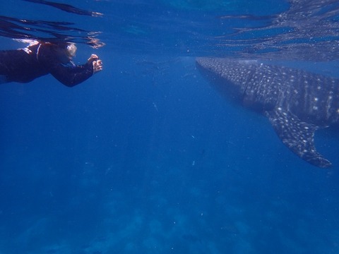 P8130220 (640x480)
