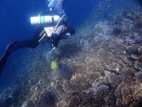 P3172404 (640x480)