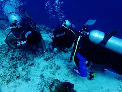 P6030077 (640x480)