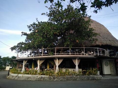 IMG20151222170245 (640x480)