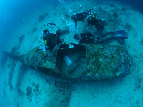 P8140372 (640x480)