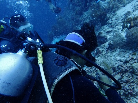P1210034 (640x480)