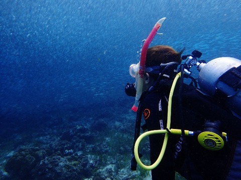 P7280020 (640x480)