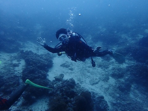 PC270152 (640x480)