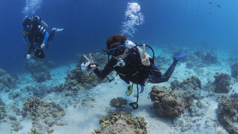 P8121321 (640x360)