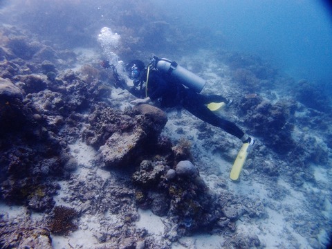 P1042561 (640x480)