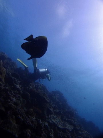 P1017498 (480x640)