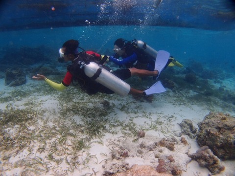 P9256524 (640x480)