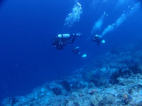 P9116183 (640x480)