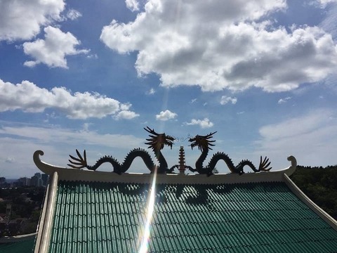 50881555_788600541519997_716817204045152256_n (640x480)