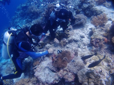 P1012193 (640x480)