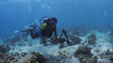 P8121324 (640x360)