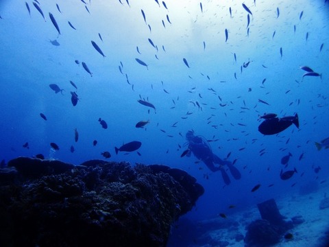 PA154014 (640x480)