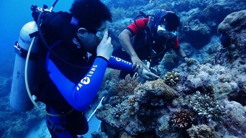 P3130251 (640x360)