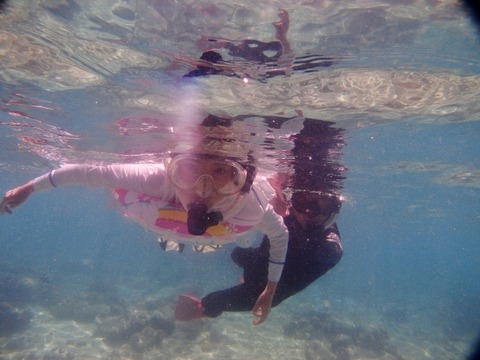 P5060907 (640x480)